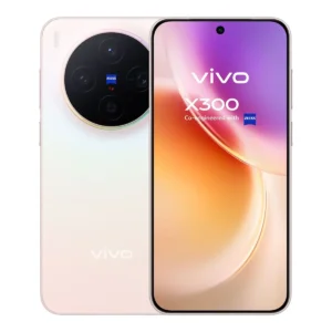 vivo X300